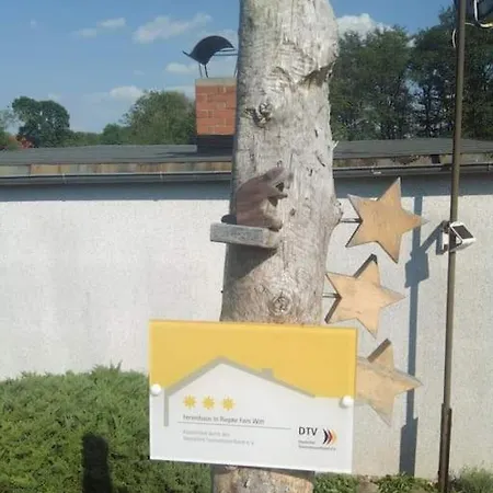 Mecklenburgische Seenplatte Mit Ruderboot